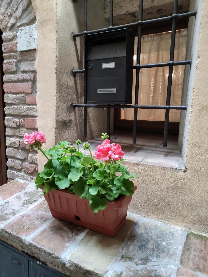 Loft Gioia Appartement *