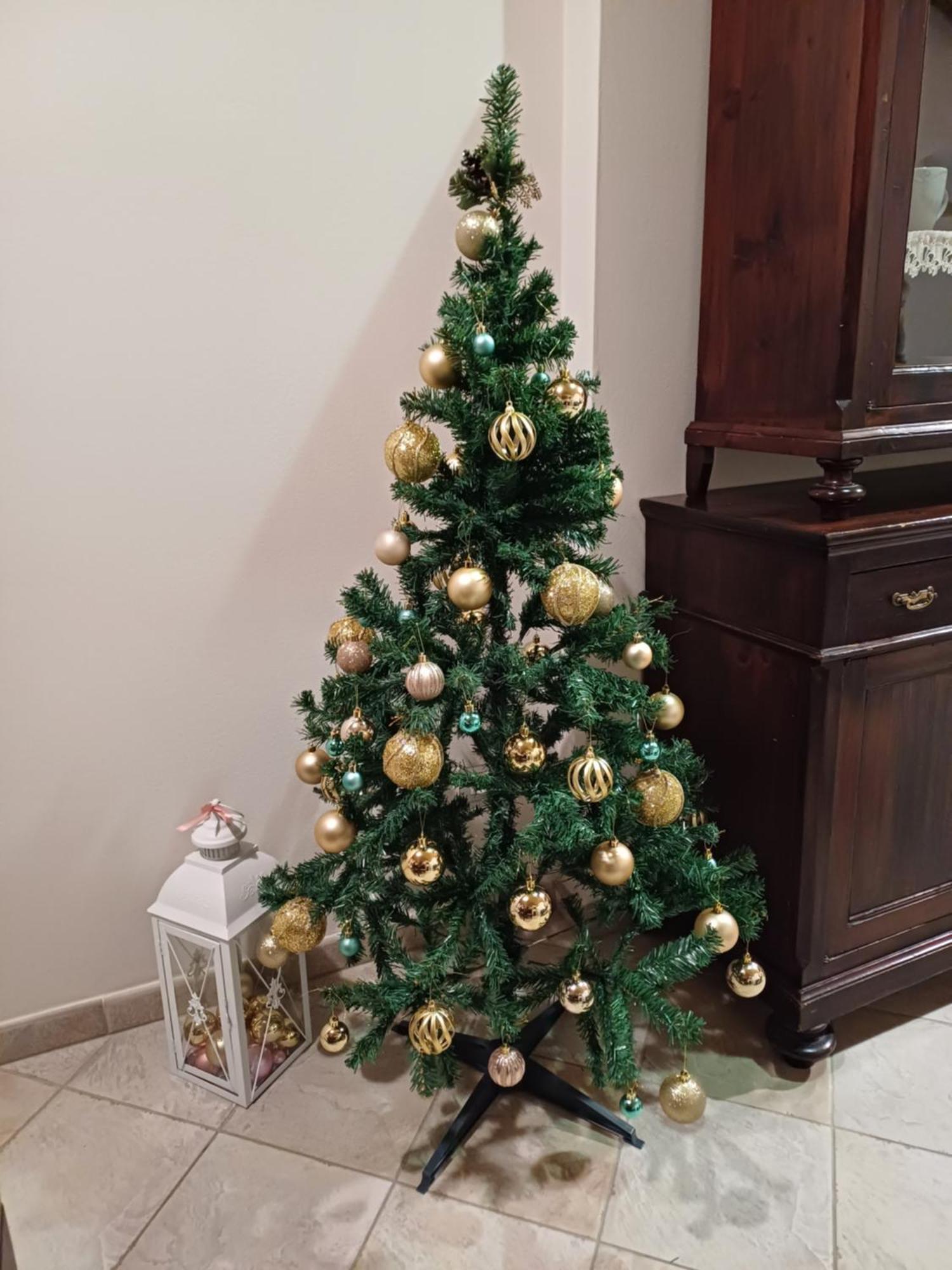 Apartment Loft Gioia